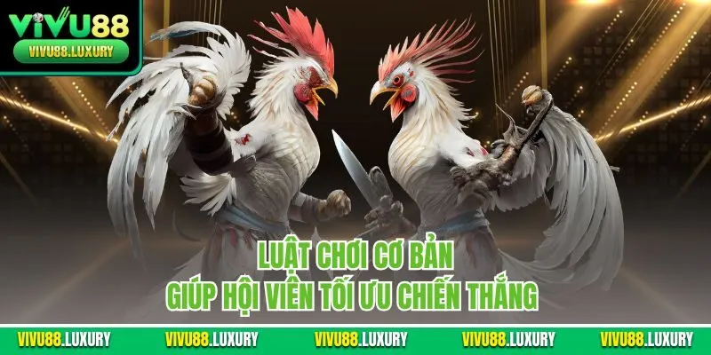 Luật chơi cơ bản giúp hội viên tối ưu chiến thắng 