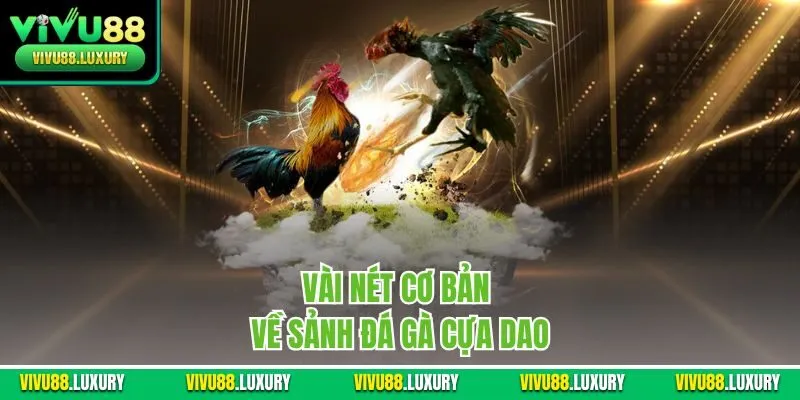 Vài nét cơ bản về sảnh đá gà cựa dao